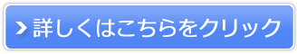 X}[gڋq䒠̔TCg